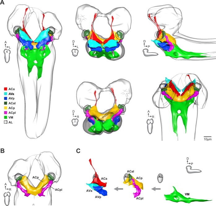 Figure 2—figure supplement 2.