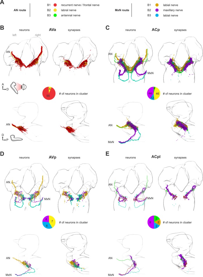 Figure 2—figure supplement 4.