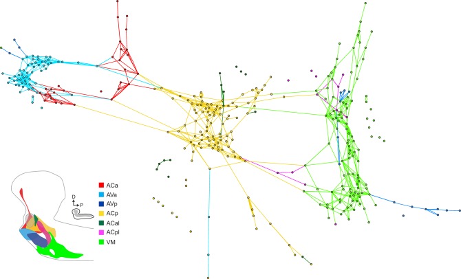 Figure 4—figure supplement 2.