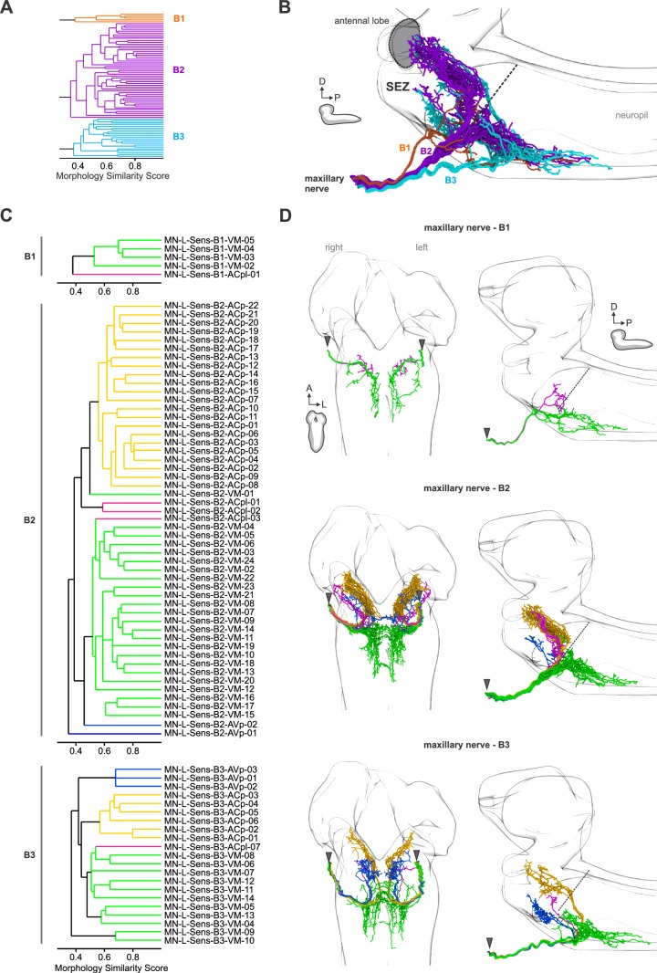 Figure 1—figure supplement 3.