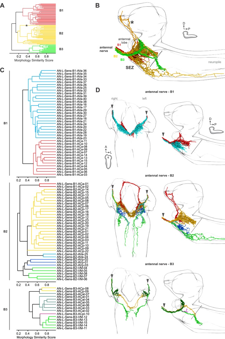 Figure 1—figure supplement 2.