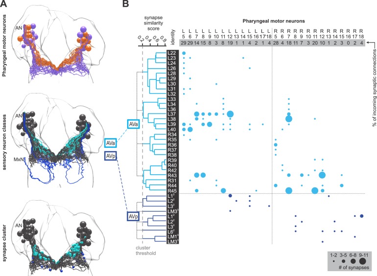 Figure 3—figure supplement 5.