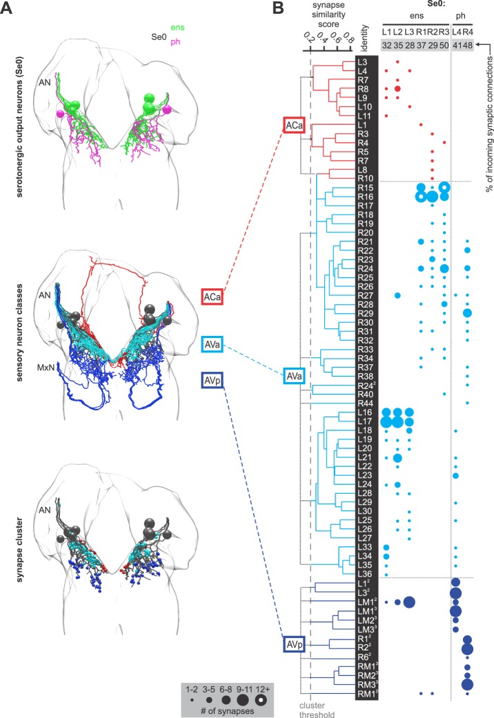 Figure 3—figure supplement 4.