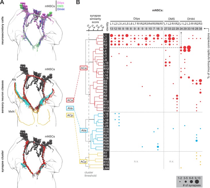 Figure 3—figure supplement 3.