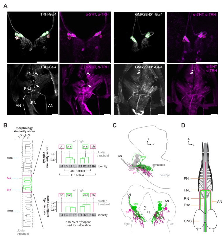 Figure 2—figure supplement 6.