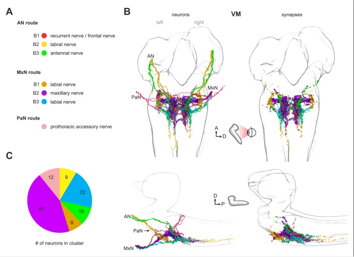 Figure 2—figure supplement 5.