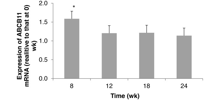 Figure 5.