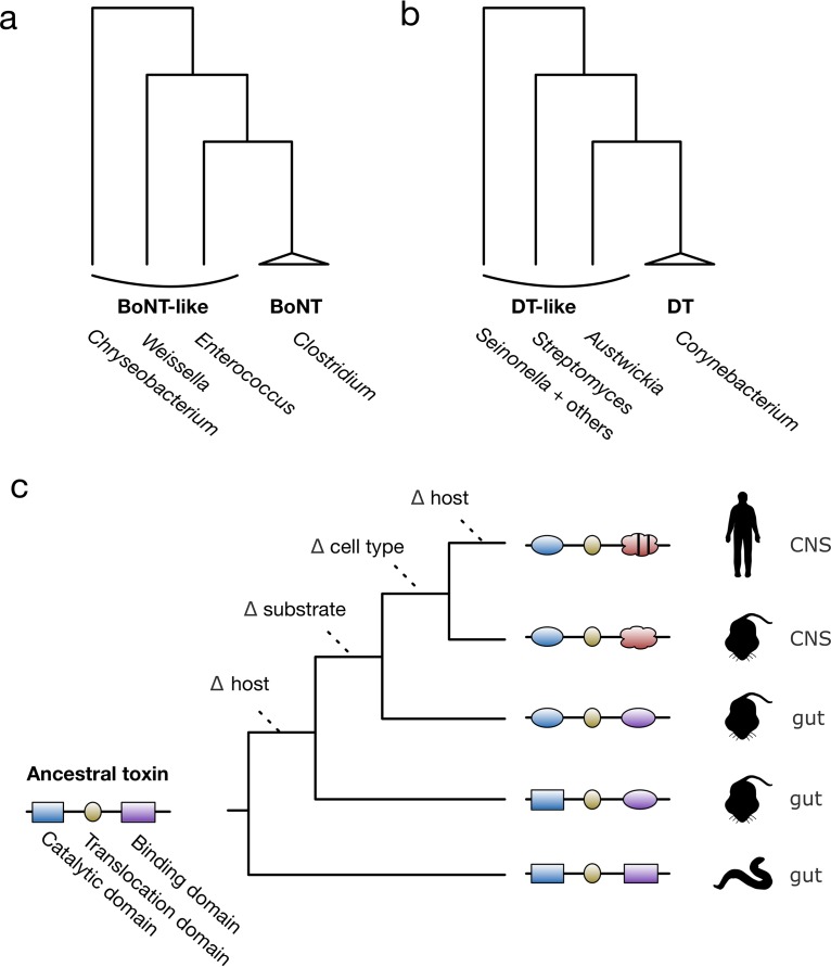 FIG 1