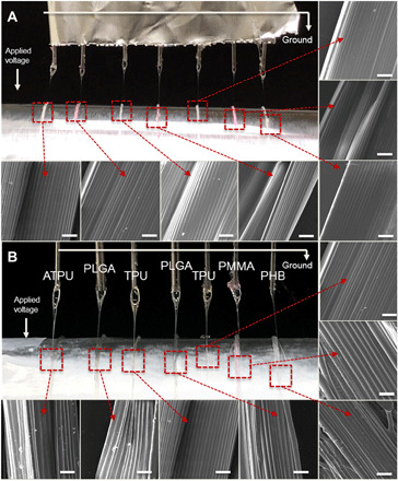 Fig. 7