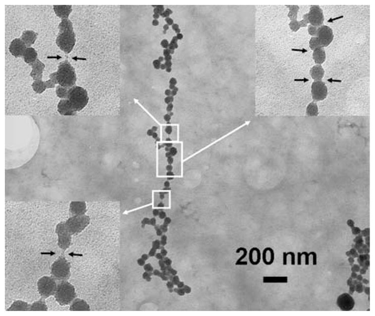 Fig. 10