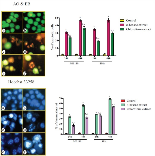 Figure 2a