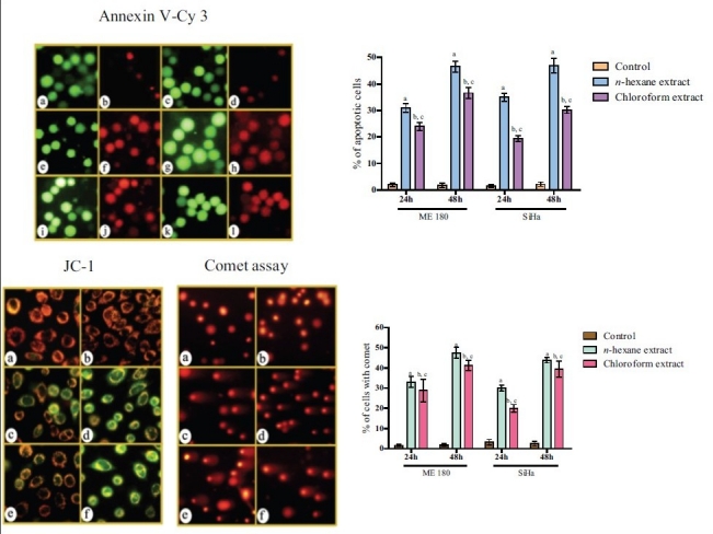 Figure 2b