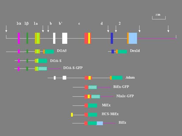 Figure 10