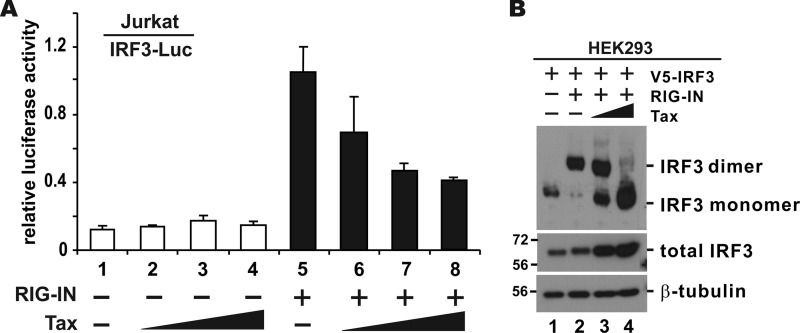 FIG 3