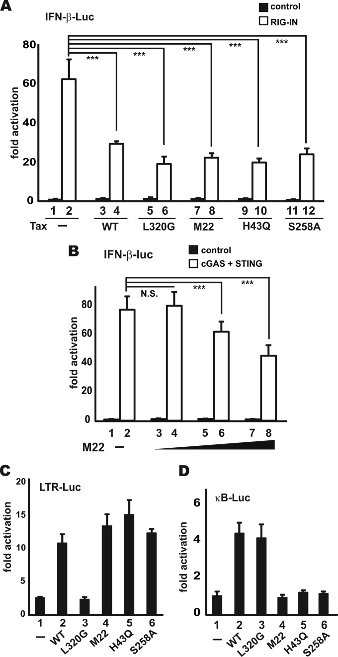 FIG 6