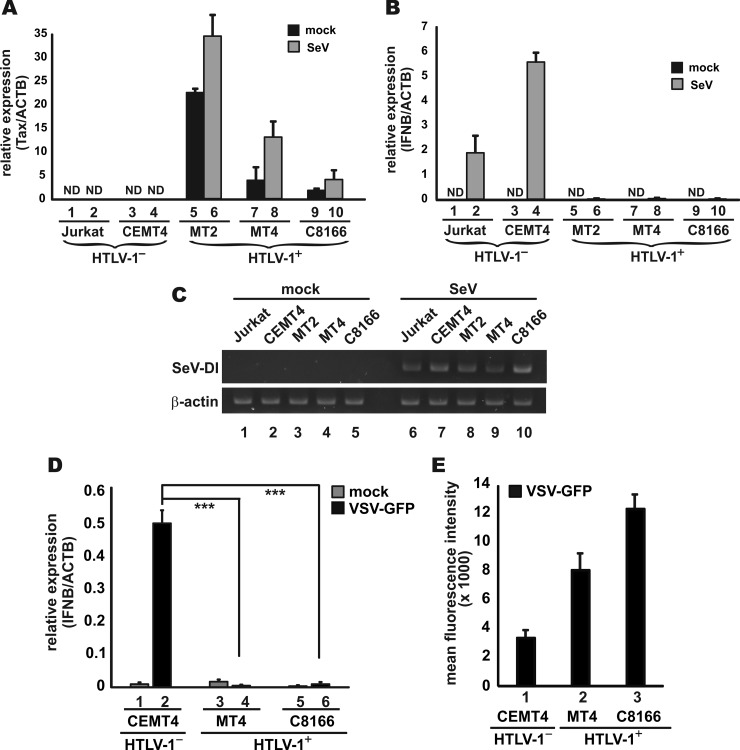 FIG 1