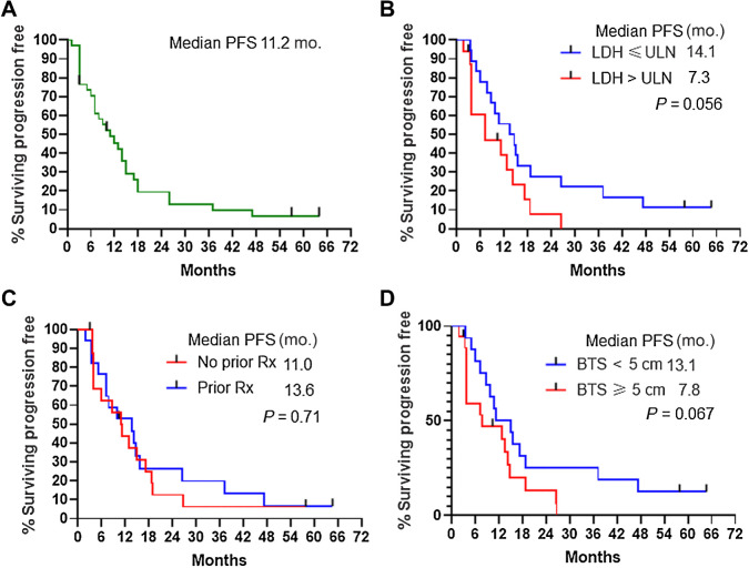 Figure 3. PFS. A, Entire study population. B, According to LDH status. C, According to prior therapy. D, According to baseline tumor size as determined by the sum of the RECIST target lesions on baseline scans. Tick marks indicate censored patients who never progressed by RECIST criteria at the time of last follow-up. Rx, treatment.