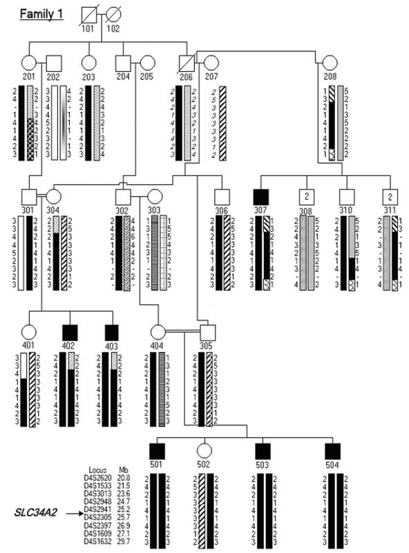 Figure  1. 