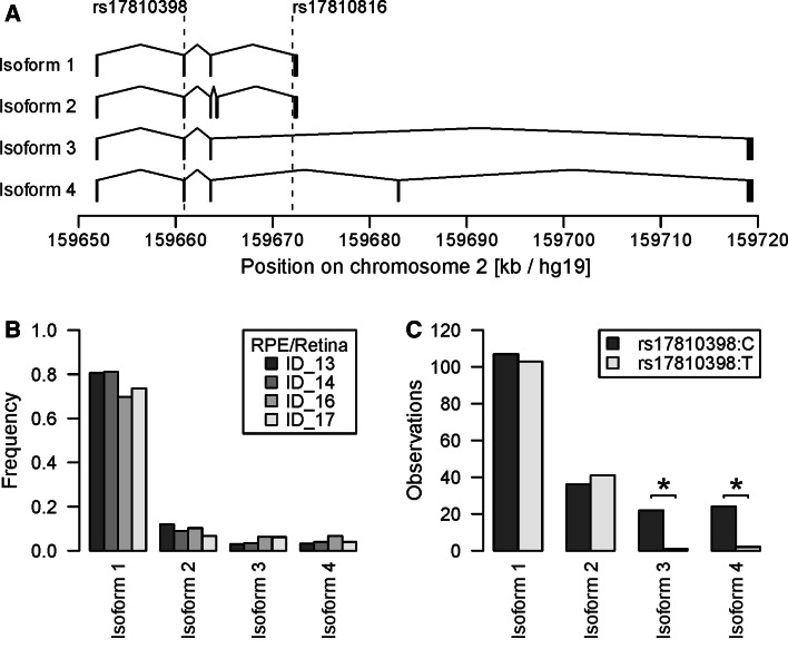 Fig. 3