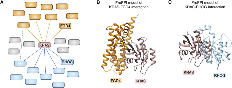 Figure 3