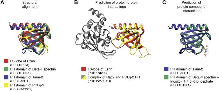 Figure 1