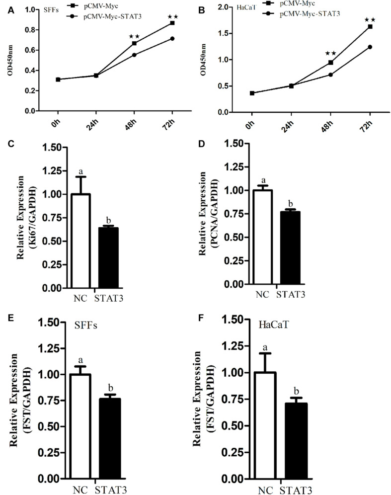 FIGURE 3