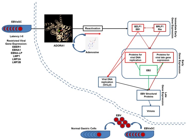 Figure 11