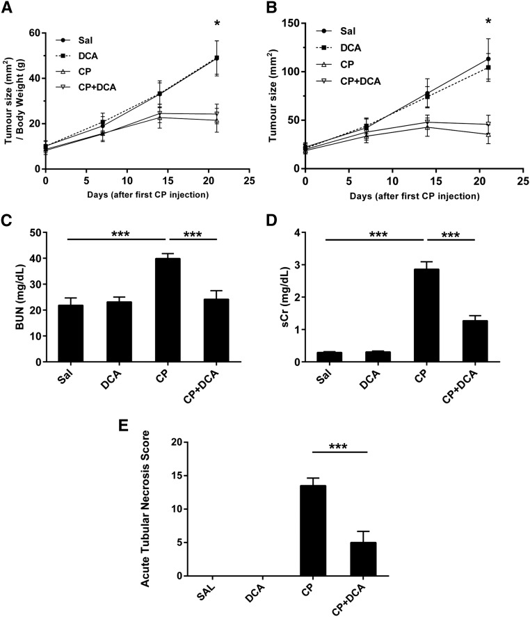 Figure 10.