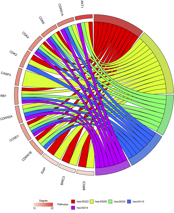 FIGURE 3