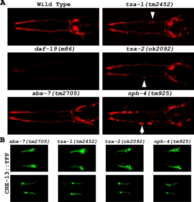 Figure 4.