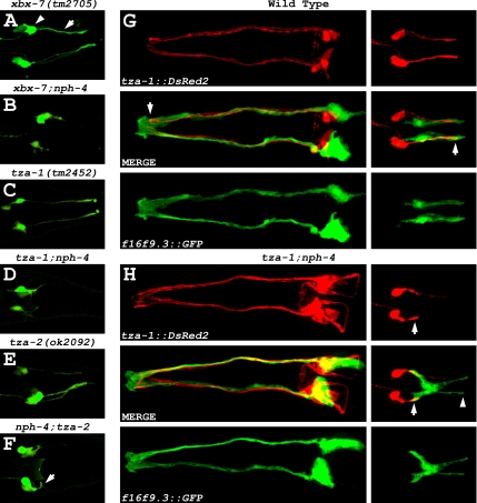 Figure 10.