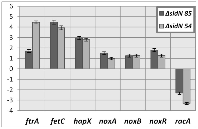 Figure 11