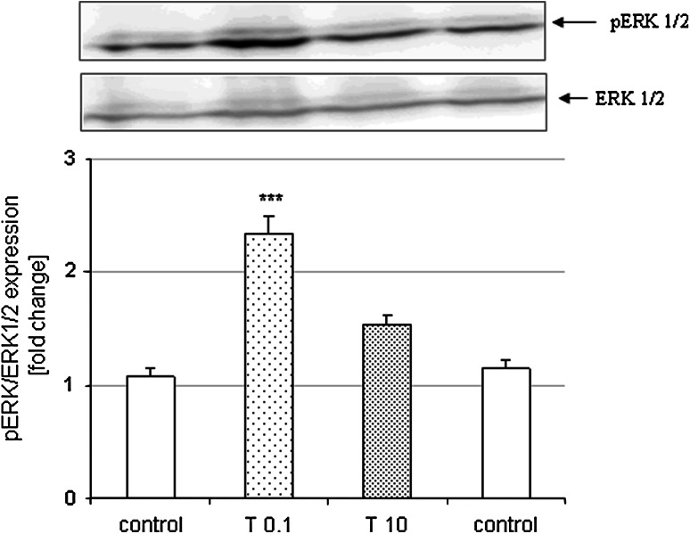 Fig. 7