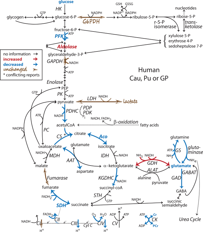 Fig.1