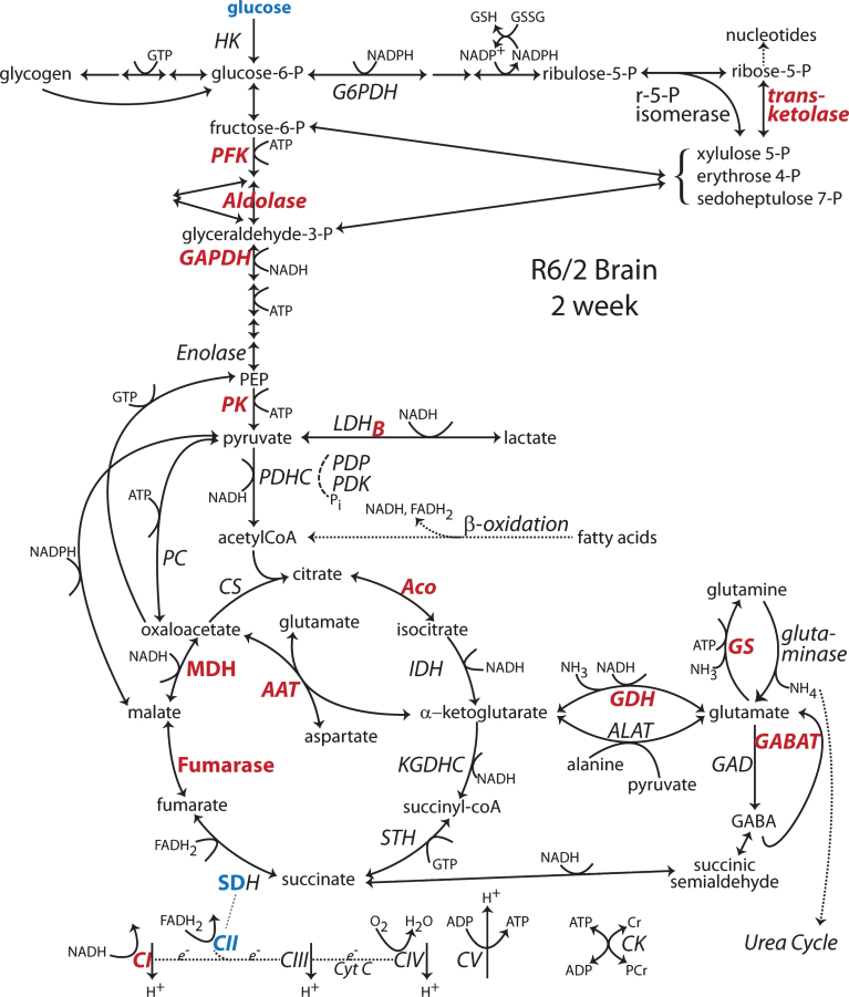 Fig.3