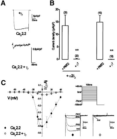 graphic file with name cdf166f3.jpg