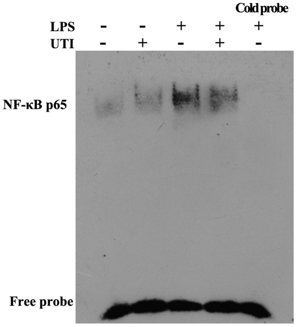 Figure 11