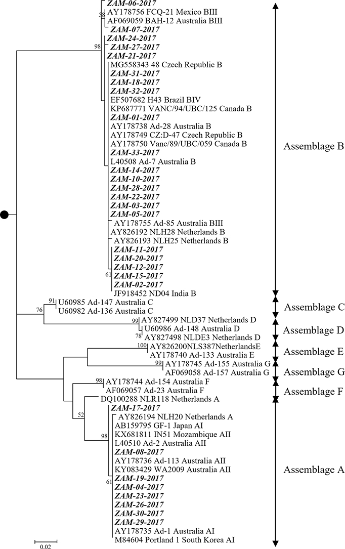 Unlabelled Image