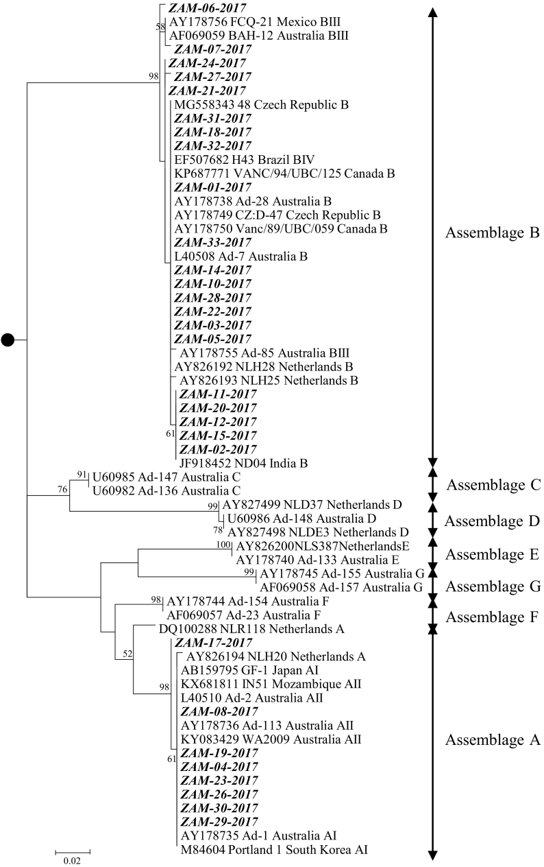 Fig. 1