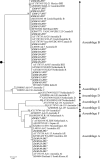 Unlabelled Image