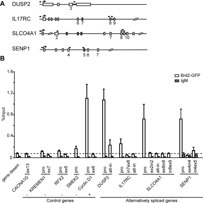 FIGURE 2: