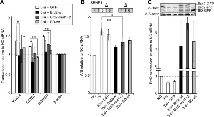 FIGURE 7: