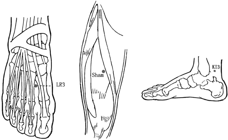 FIG. 3.