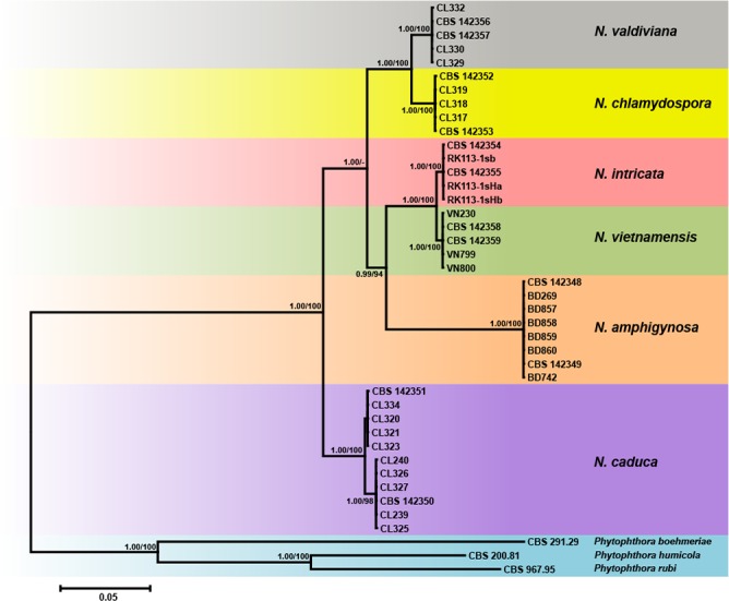 Fig. 2