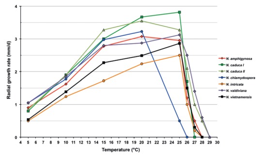 Fig. 11