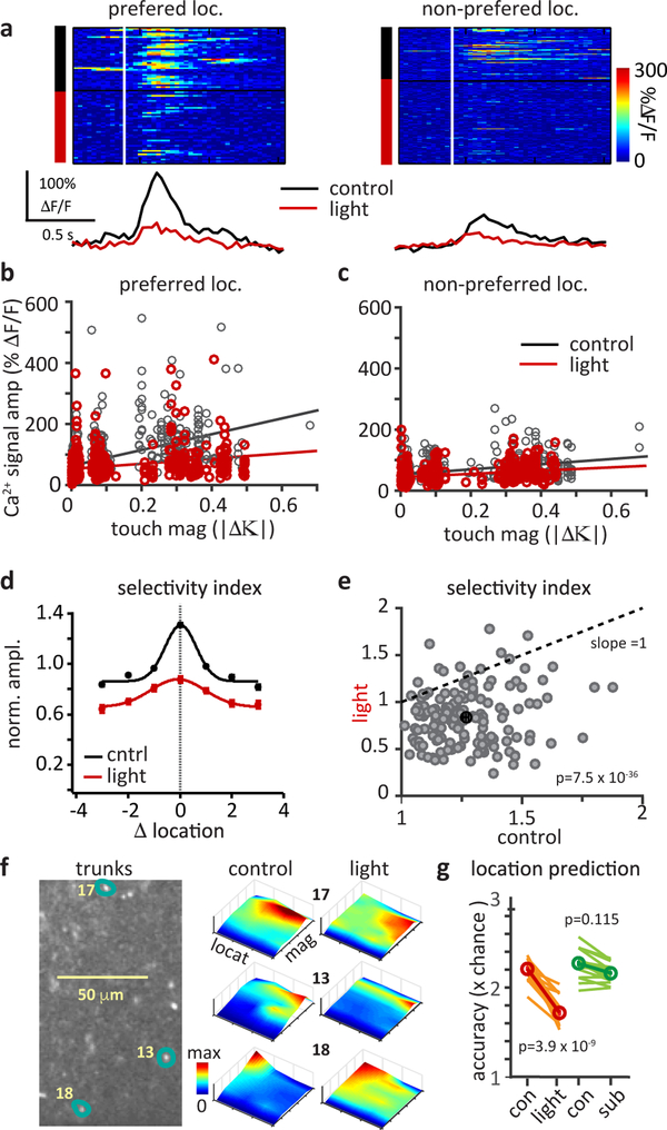 Figure 6: