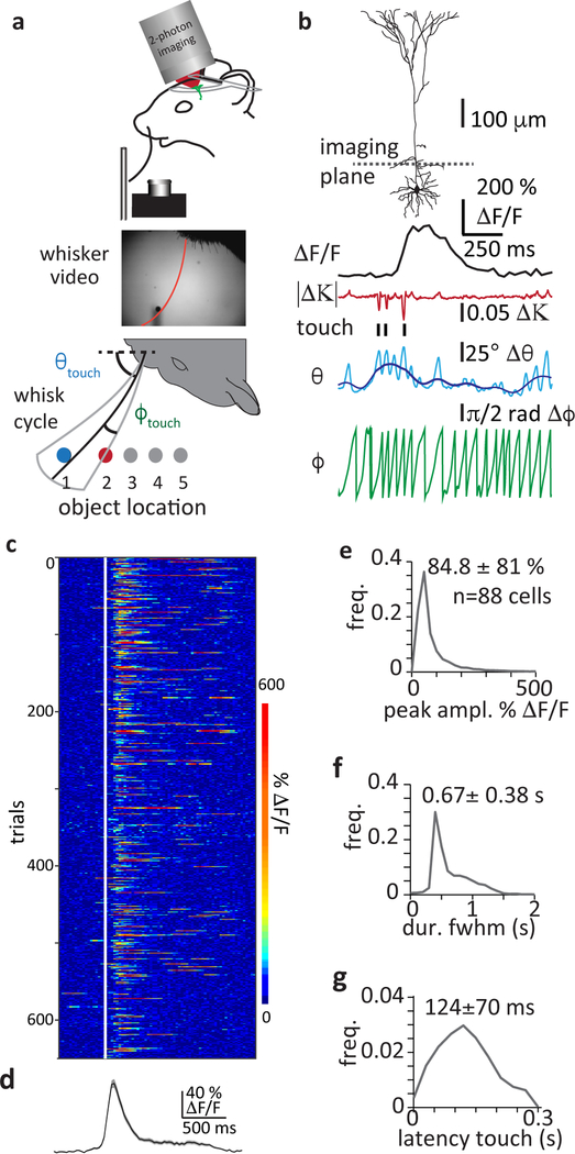 Figure 1: