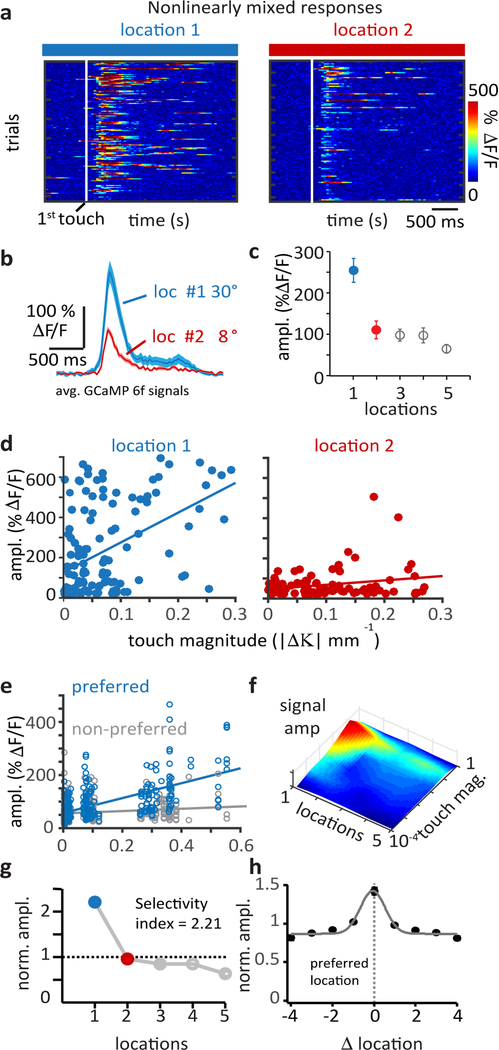 Figure 2: