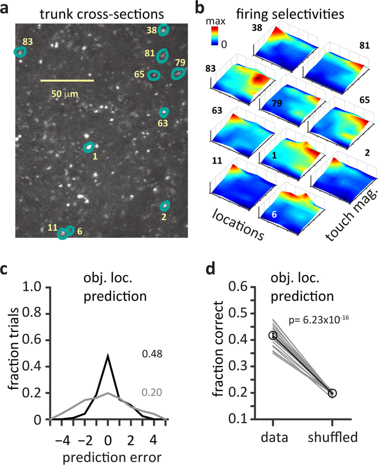 Figure 4: