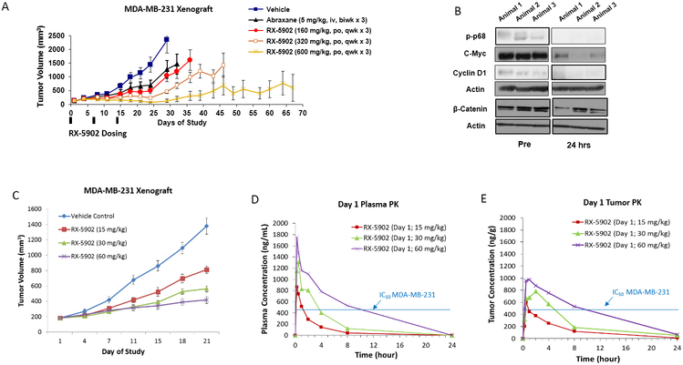 Figure 4: